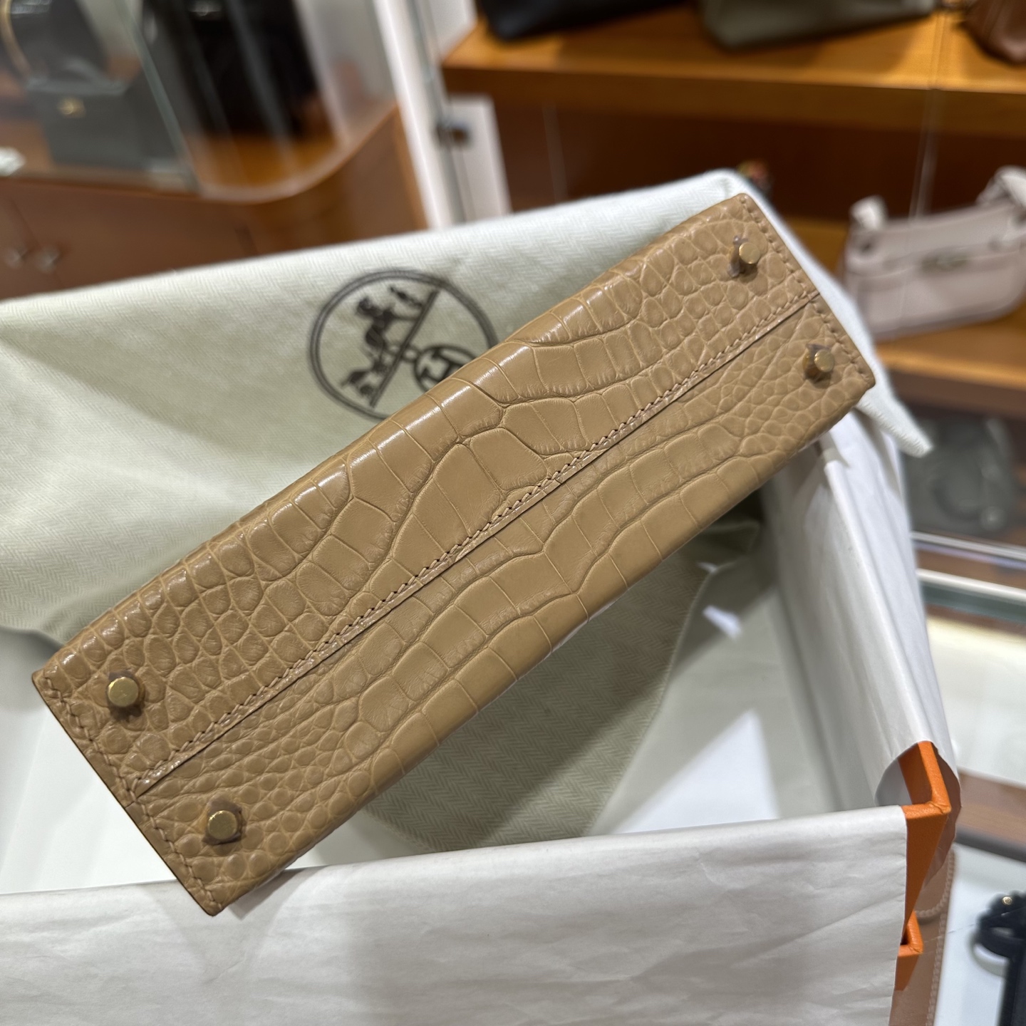 wsxc1758128078577_11