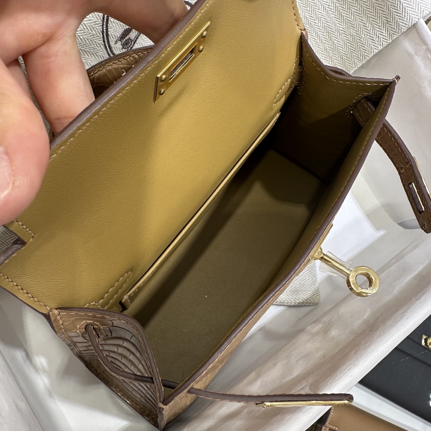 wsxc1758128078747_12