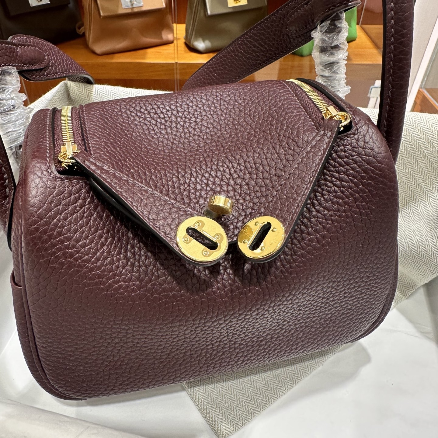 wsxc1761817684903_12