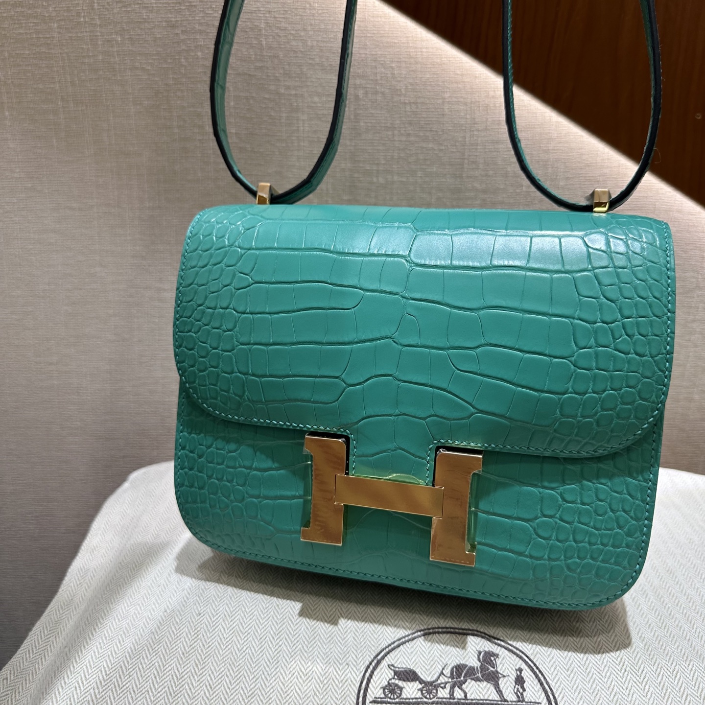 wsxc1763744068449_12-1